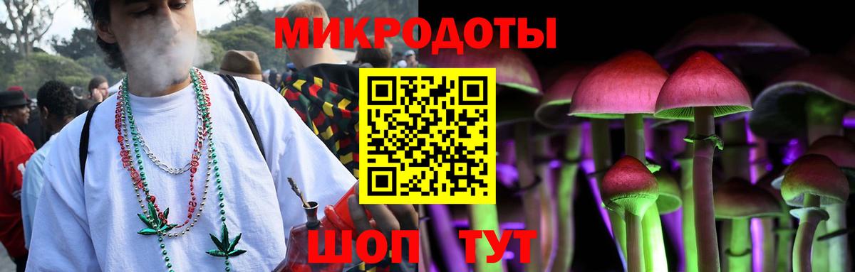 Галлюциногенные грибы Cubensis Вольск